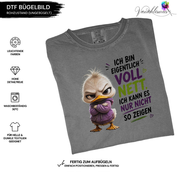Bügelbild ich bin eigentlich voll nett schwarze Schrift