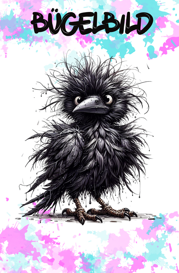 Crowdy