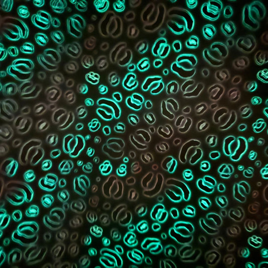 0,5m Kunstleder nachtleuchtend Leo Neon