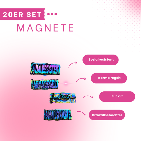 Magnete Set 20 Stück